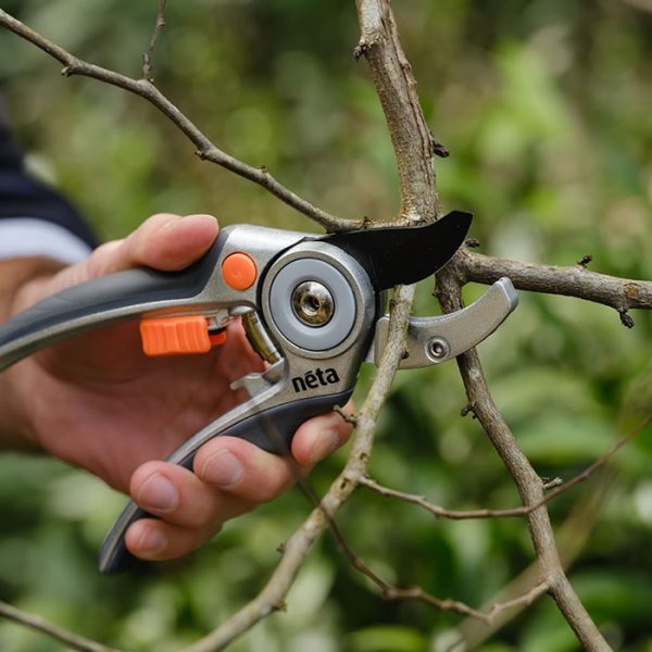 Aluminium Anvil Secateurs - Image 2