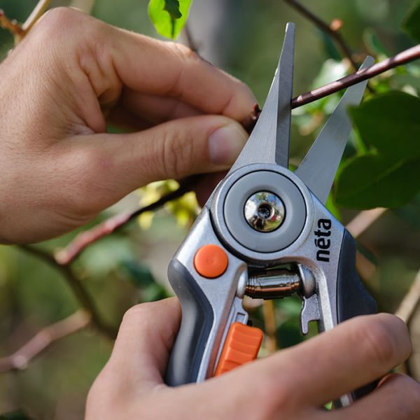 Aluminium Floral Pruner - Image 2
