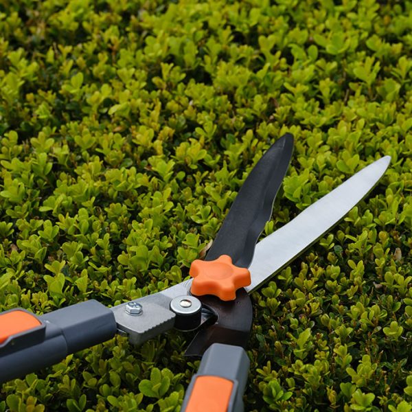Telescopic Hedge Shear - Image 6