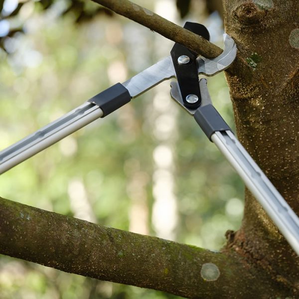 Telescopic Lopper - Image 2