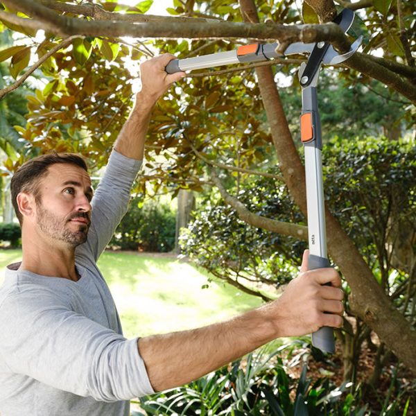 Telescopic Lopper - Image 6