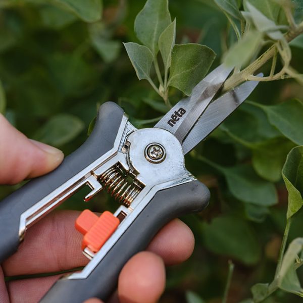 Straight Blade Pruner - Image 4