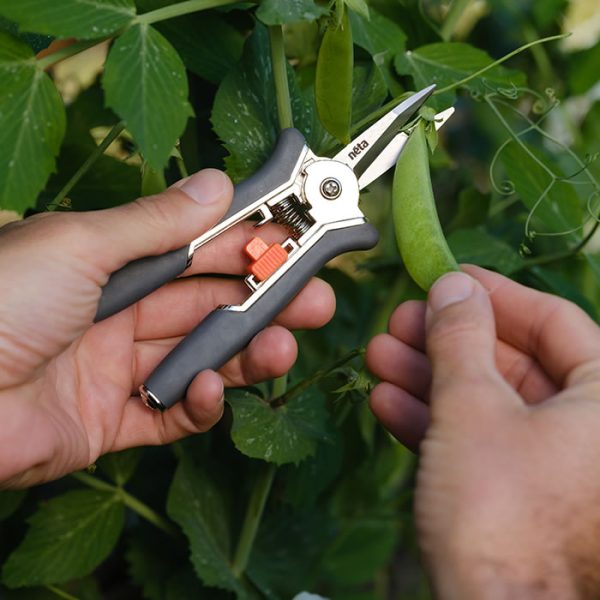 Straight Blade Pruner - Image 5