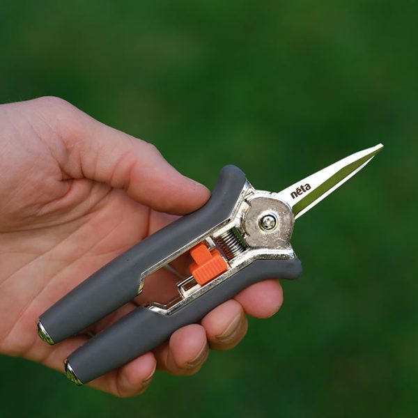 Straight Blade Pruner - Image 6