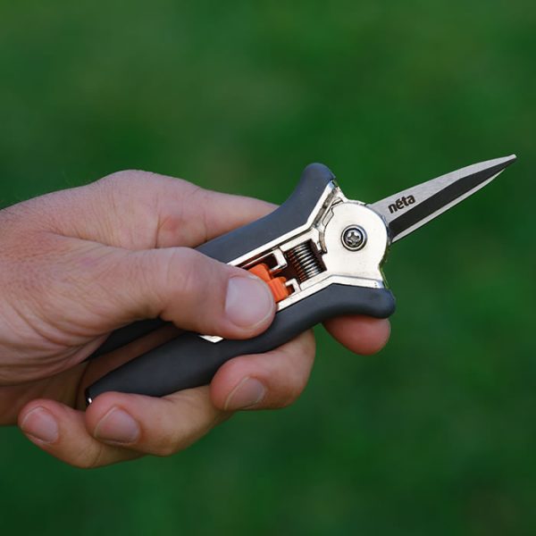 Straight Blade Pruner - Image 7