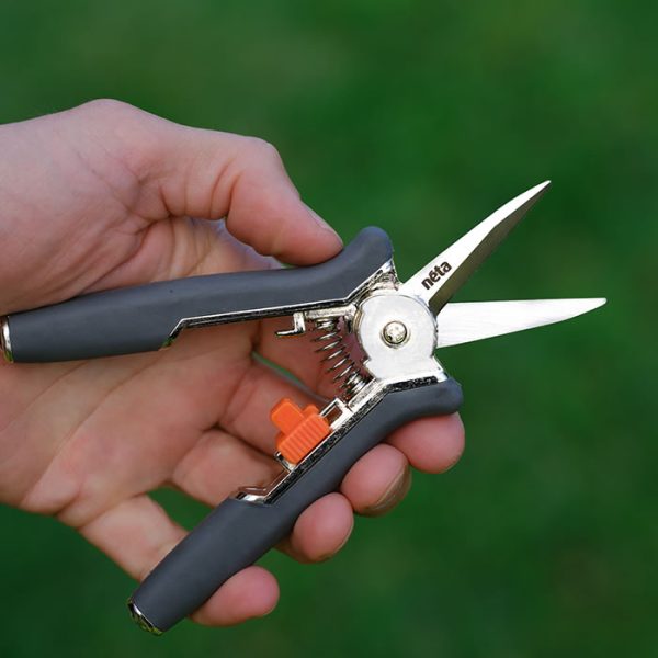 Straight Blade Pruner - Image 2